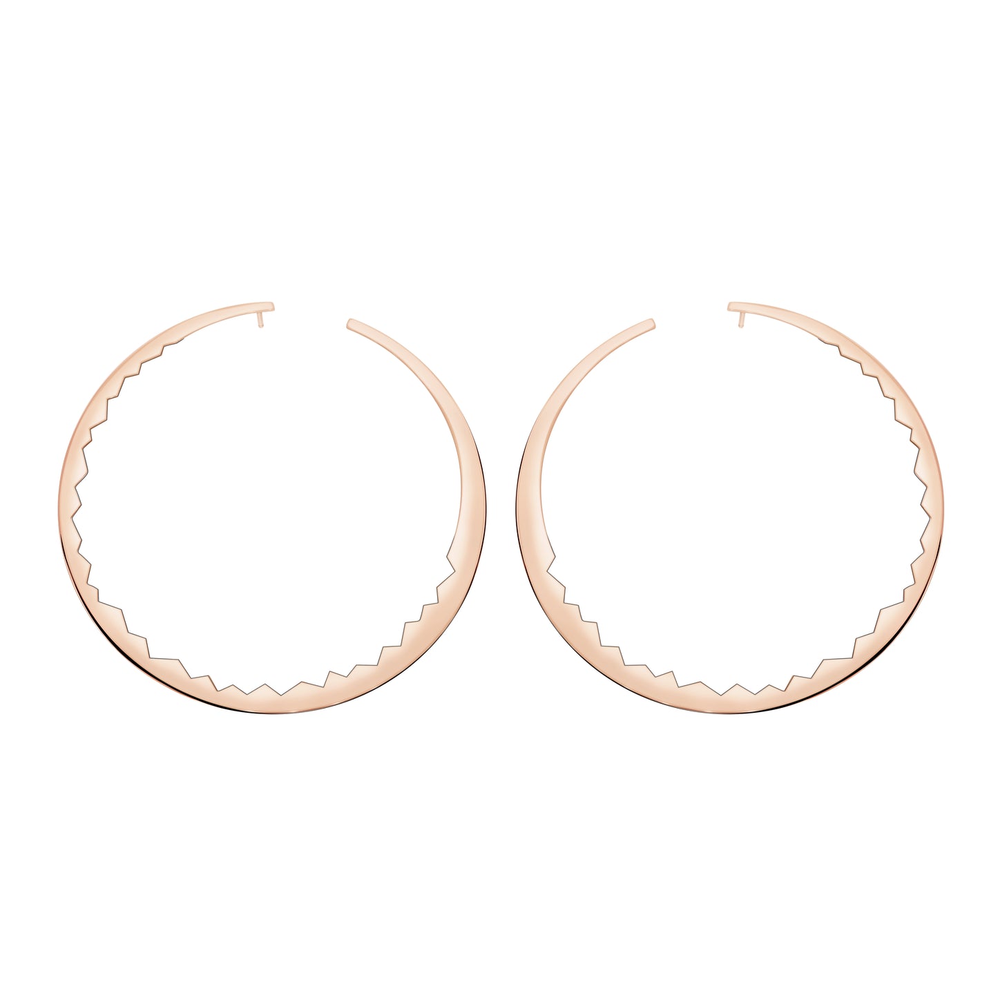 Capture Light earrings