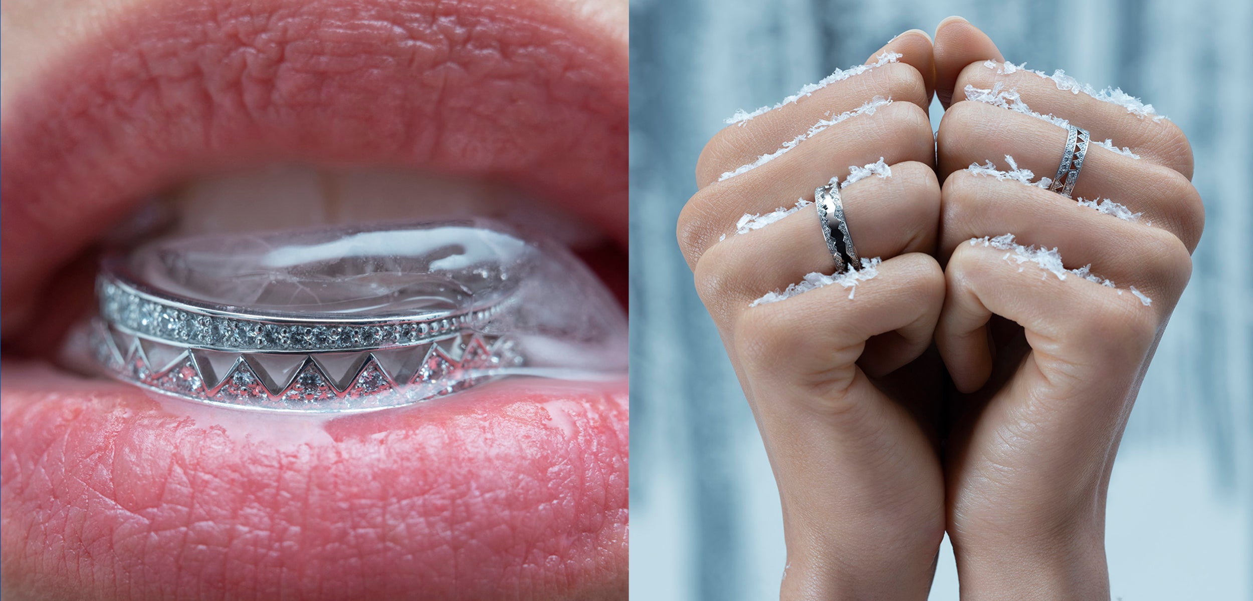 Sélection pour les fêtes